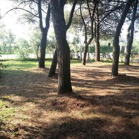 In 25698 Holiday home *